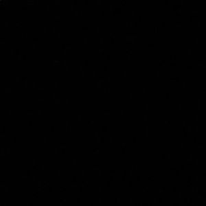 Meet your Posher, Dylan